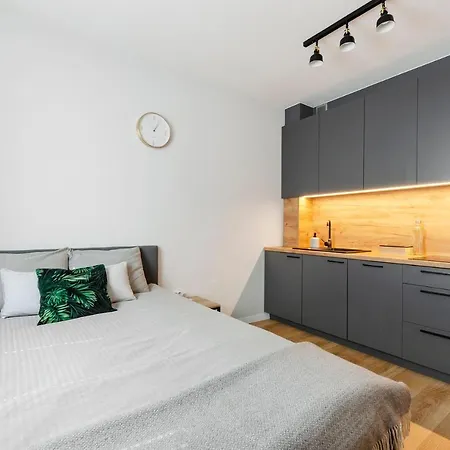 Apartament Jarzebinowy Z Ogrodkiem Lodž Exteriér fotografie